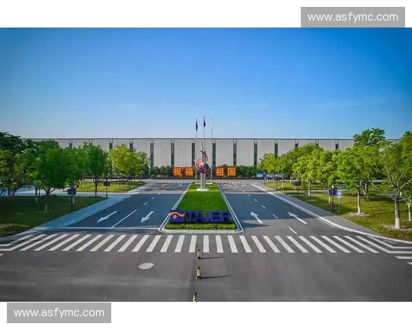 Bsports引领全球体育平台创新发展新格局解析深度观察未来趋势